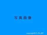 サンプル写真１
